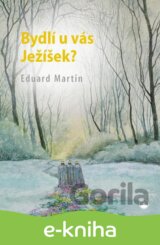 Bydlí u Vás Ježíšek?