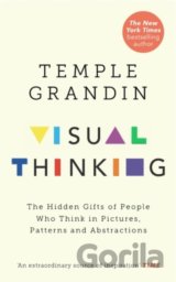 Visual Thinking