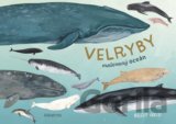 Velryby
