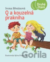 Q a kouzelná prakniha