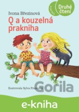 Q a kouzelná prakniha
