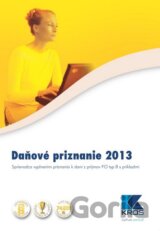 Daňové priznanie 2013