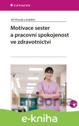Motivace sester a pracovní spokojenost ve zdravotnictví