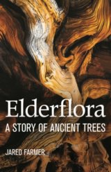 Elderflora
