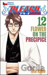 Bleach 12