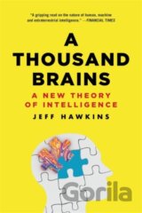 A Thousand Brains