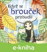 Když se brouček probudil