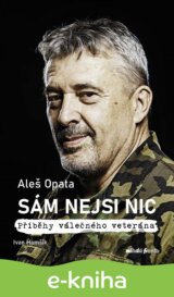 Sám nejsi nic