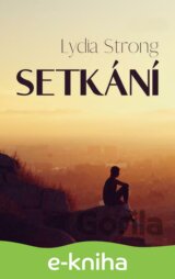 Setkání