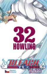 Bleach 32