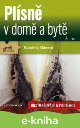 Plísně v domě a bytě