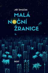 Malá noční žranice