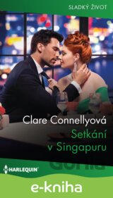 Setkání v Singapuru