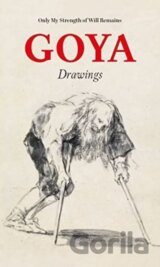 Goya Drawings