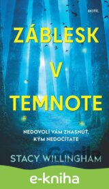 Záblesk v temnote