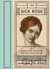 The Sick Rose