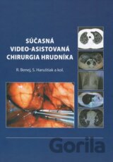 Súčasná video-asistovaná chirurgia hrudníka