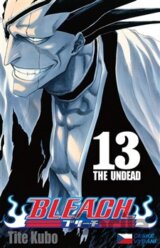 Bleach 13