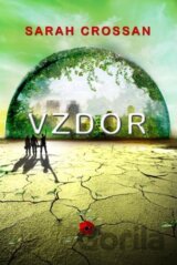 Vzdor