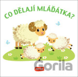 Co dělají mláďátka?