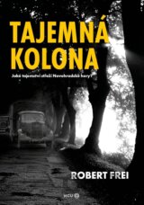 Tajemná kolona