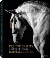 Equine Beauty
