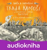 Traja kamoši a fantastický zázrak