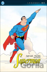 Superman: V každé roční době