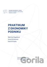 Praktikum z ekonomiky podniku