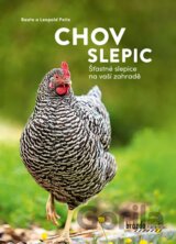 Chov slepic