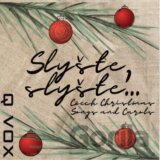 Q VOX, Jaroslav Krček: Slyšte Slyšte....