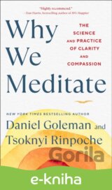 Why We Meditate