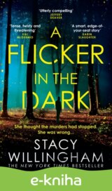 A Flicker in the Dark