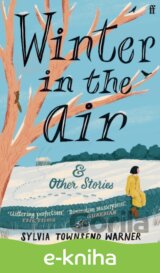 Winter in the Air