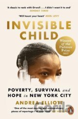 Invisible Child