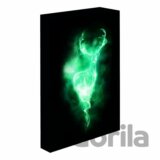 Harry Potter obraz LED svietiaci 30x40 cm - Patron