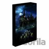 Harry Potter obraz LED svietiaci 30x40 cm - Bradavice