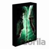 Harry Potter obraz LED svietiaci 30x40 cm - Harry vs Voldemort