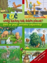 Proč umějí kachny tak dobře plavat?
