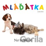 Mláďátka: Na venkově