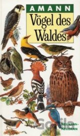 Vögel des Waldes