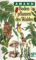 Bodenpflanzen des Waldes