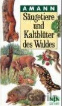 Säugetiere und Kaltblüter des Waldes
