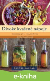 Divoké kvašené nápoje