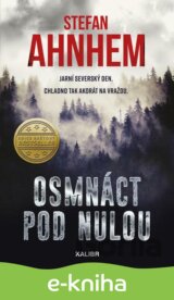 Fabian Risk 3: Osmnáct pod nulou