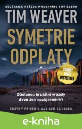 Symetrie odplaty