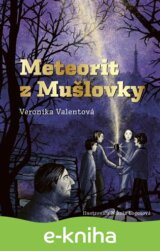 Meteorit z Mušlovky