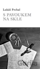 S pavoukem na skle