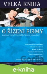 Velká kniha o řízení firmy