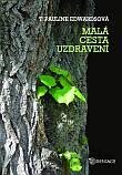 Malá cesta uzdravení